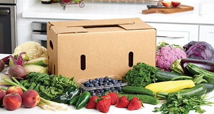 MANUFACTURING AND PACKING